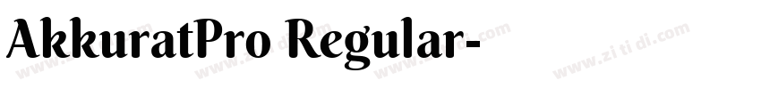 AkkuratPro Regular字体转换